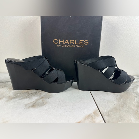 Charles By Charles David Shoes - Charles by Charles David Farther Black Platform Wedge Sandals, Sz 6